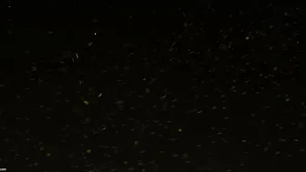 Horny Stepaunty Bent Over Taking It Deep From Her Stepson