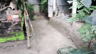 Catching My Sexy Aunty Alone And Fucking Her In The Backyard