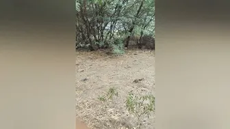 Risky Public Fuck Under The Railway Bridge With Horny Desi Aunty