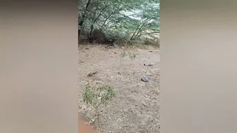 Risky Public Fuck Under The Railway Bridge With Horny Desi Aunty