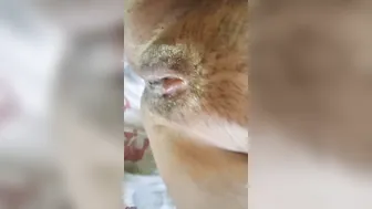 Horny Uncle Fucking His Desi Aunty Making Her Scream And Moan