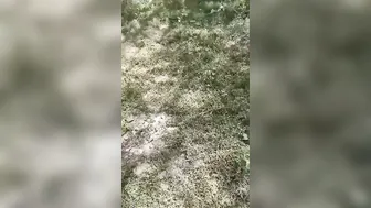 Outdoor Sex With My Stepaunty Hidden Behind Village Temple Wall