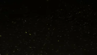 Busty Aunty Showing Her Massive Chest To Her Eager Young Boy