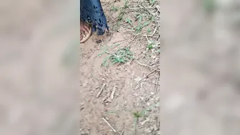 Village Wife Aunty Taking Cock Outdoors In The Open Fields
