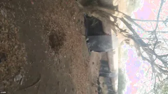 Old Aunty Getting Horny And Calling Me Over To Satisfy Her Needs