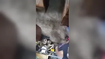 Tamil Aunty Caught Fucking Her Secret Lover At Furniture Store