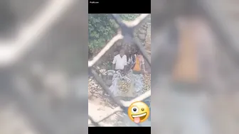 Punjabi Married Woman Jerking Off The Fruit Seller Behind Her House
