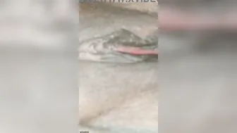 My Slutty Aunty Working As A Prostitute Caught With Client