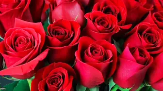 Bengali Married Aunty In Saree Cheating With Neighbor Full Audio