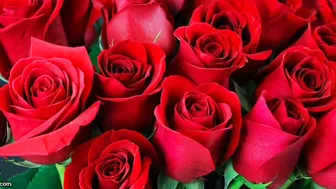 Bengali Married Aunty In Saree Cheating With Neighbor Full Audio