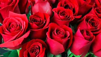 Bengali Married Aunty In Saree Cheating With Neighbor Full Audio