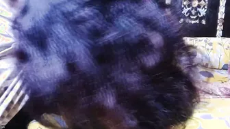 Busty Babe Taking It From Behind Getting Titty Fucked Hard