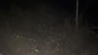 Horny Married Aunty Getting Fucked Rough In Saree Outdoors