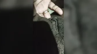 Sexy Desi Aunty Fingering Her Wet Pussy In Private Moments