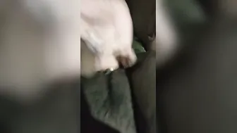 Sexy Desi Aunty Fingering Her Wet Pussy In Private Moments