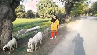 Village Aunty Showing Curves And Thick Body In Traditional Dress