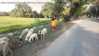 Village Aunty Showing Curves And Thick Body In Traditional Dress