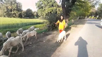 Village Aunty Showing Curves And Thick Body In Traditional Dress