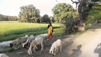Village Aunty Showing Curves And Thick Body In Traditional Dress