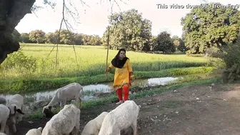 Village Aunty Showing Curves And Thick Body In Traditional Dress