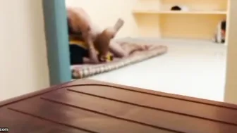 Telugu Aunty Sneaking With Boyfriend For Secret Hotel Room Sex