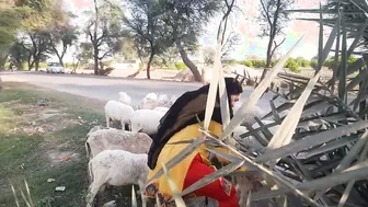 Village Aunty Showing Off Her Daily Routine Getting Naughty Alone