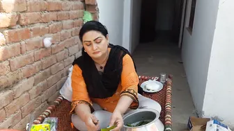 Village Aunty Working In Fields And Teasing With Her Sexy Body