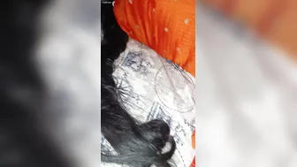 Sneaking Up On Sleeping Aunty To Grab Her Thick Cheeks