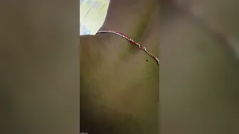 South Indian Aunty Getting Messy With Cream And My Hard Cock