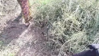 Virgin Aunty Losing It To Young Guy Deep In Village Jungle