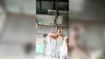 Desi Aunty From Delhi Masturbating Alone With Fresh Brinjal
