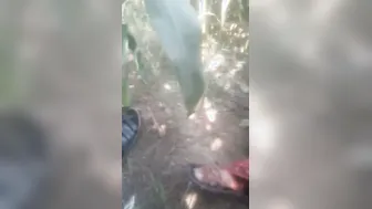 Village Married Woman Outdoor Fucking With Her Neighbor Secretly