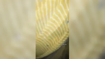 Indian Milf Next Door Showing Off Her Body In Private Session