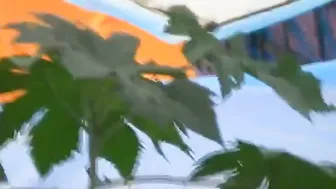 Catching Married Aunty Changing Bra Grabbing Her Tits So Quick