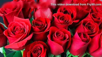 Bengali Aunty Riding Her Friend Hard In Homemade Sex Tape Recording