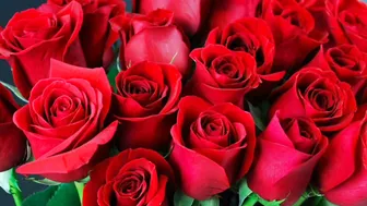 Bengali Aunty Getting Fucked Hard By His Friend Moaning Loudly