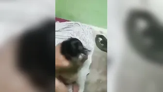 Aunty Swallowing Everything After Sucking Me Off So Good