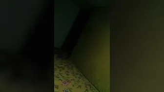 Kerala Aunty Taking It In Her Mouth Sucking Hard And Deep Today