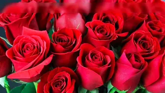 Mature Saree Aunty Cheating On Husband With Young Lover At Home