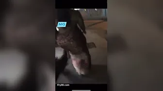 Tamil Aunty Shaking Her Huge Ass And Teasing With Curves Wildly