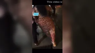 Tamil Aunty Shaking Her Huge Ass And Teasing With Curves Wildly
