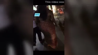 Tamil Aunty Shaking Her Huge Ass And Teasing With Curves Wildly