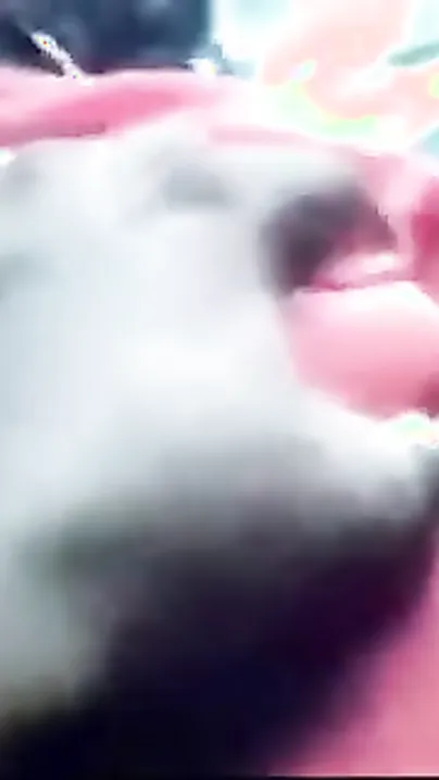 Sex HD video of a pretty hotty pleasuring her bf with a valuable irrumation