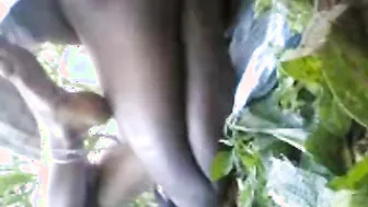 sex movies of an Indian gal fucking in fields outdoors