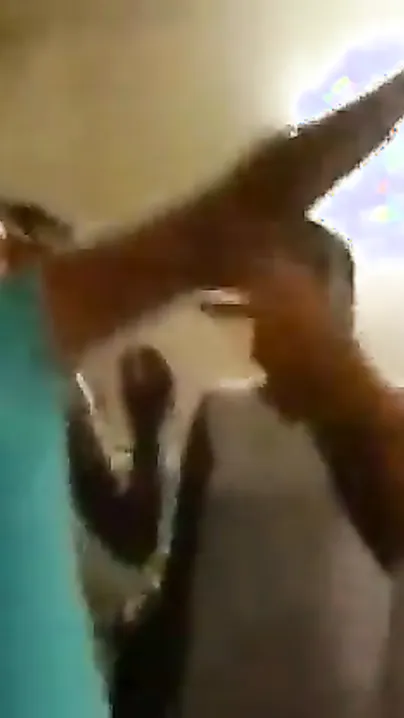 Desi MMS of Indian hostel girls enjoying with every other