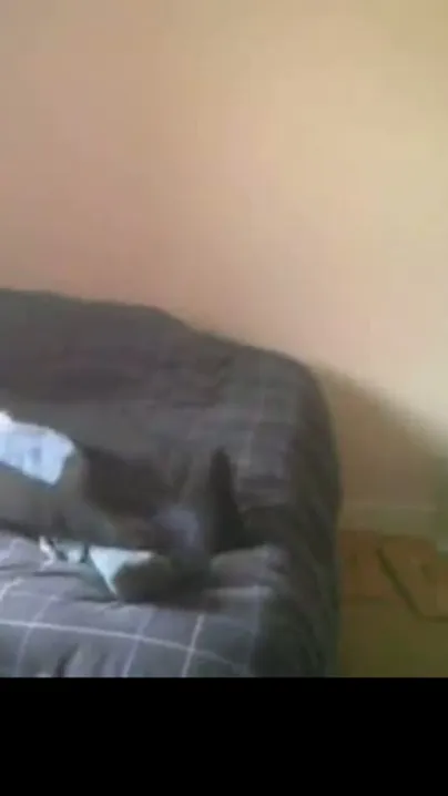 Desisex video of a college whore cheating on her bf with his ally