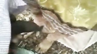 Outdoor sex video com of a slender desi girl gratifying her sexually excited bf