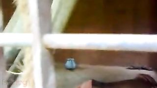 Hindisex movie scene of a desi pair enjoying outdoor sex in their new house