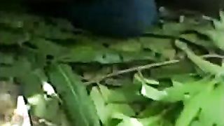 SouthIndiansex outdoor sex movie of a juvenile pair having pleasure