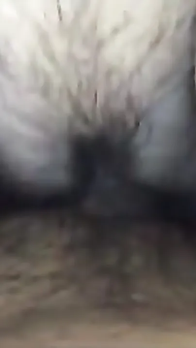 Chubby office bitch acquires fucked by boss in his home office
